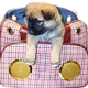 Illustration for article titled Lifepop Stereo Pet Carrier: iPods for Dogs - no, iReally/i
